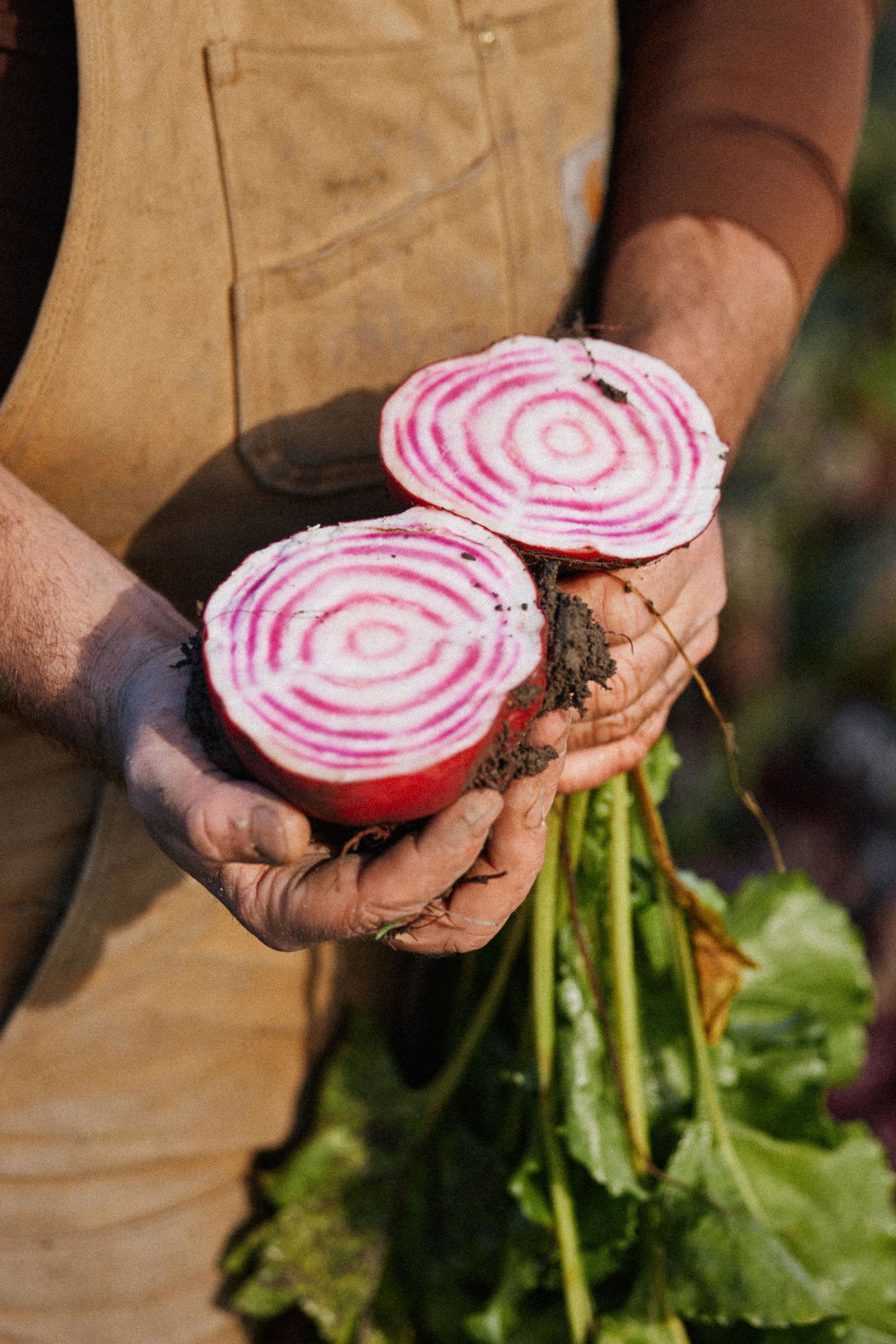 Mann som bærer på en plastbakke med ruccola