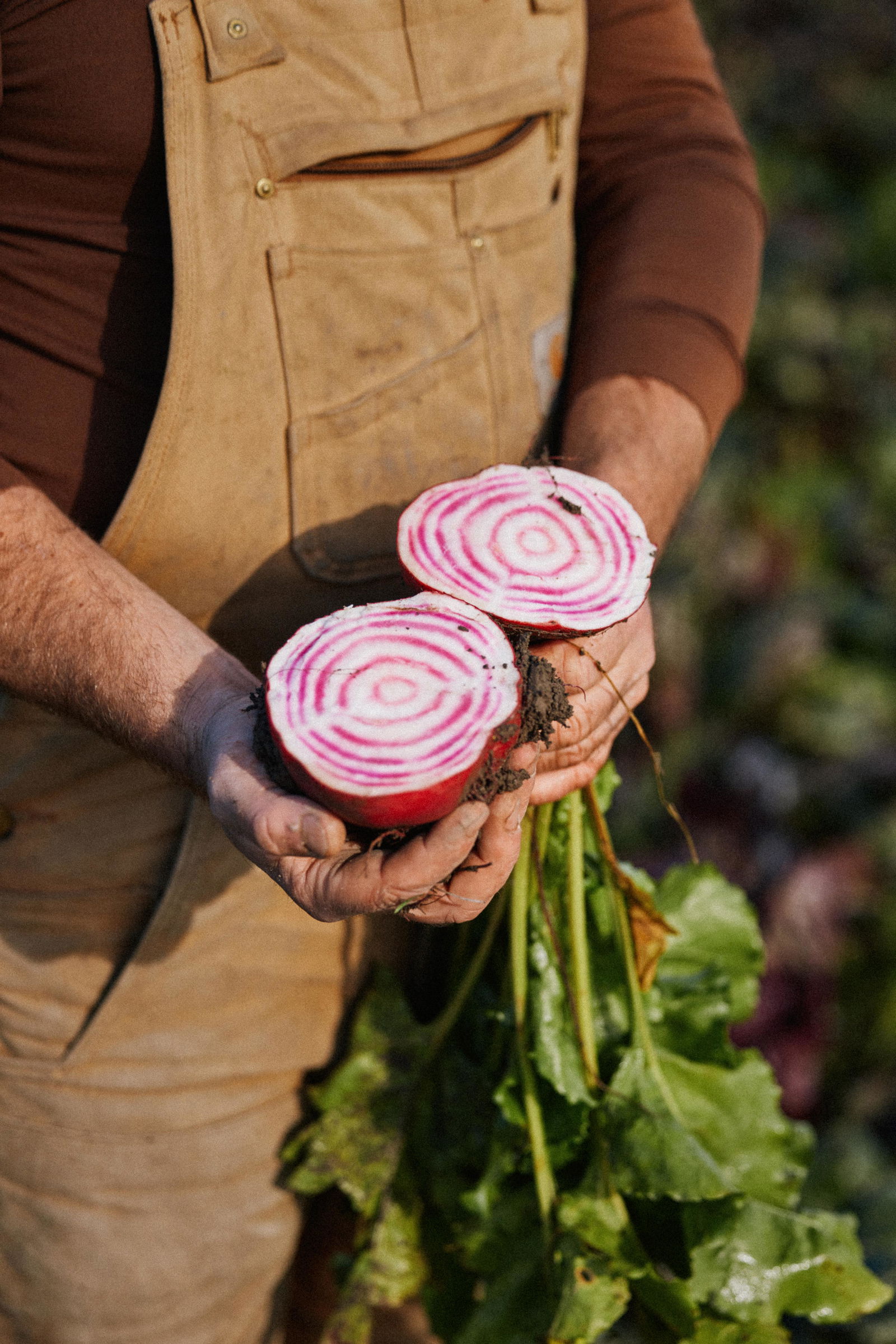 Kokk danderer salat i skåler